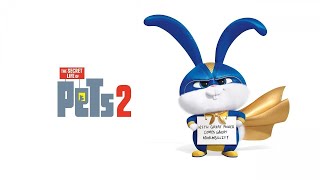 The Secret Life of Pets 2 2019 Movie Explained In English Full Summarize anime cartoon recap [upl. by Millhon]