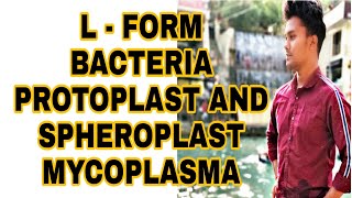 L form bacteria Protoplastspheroplastmycoplasmadifference between L form and mycoplasma [upl. by Cynthie]