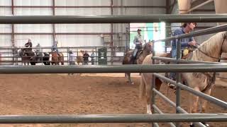 Sherry Cervi Winning Lori Todd Legacy Barrel Race 152023 [upl. by Auhsoj]