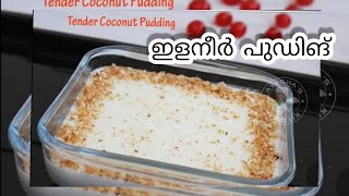 elaneer pudding resipie malayalam 😋 vaappante perakuttikal 😍 [upl. by Anelam]