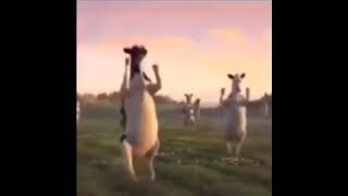 Dancing Cows Meme [upl. by Ahab682]