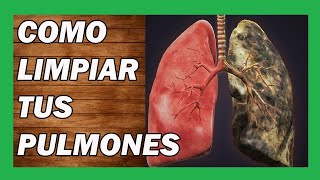 🌿 Tratamientos Naturales Para La FIBROSIS PULMONAR [upl. by Alper]