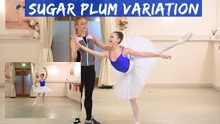 LEARN SUGAR PLUM VARIATION WITH ME [upl. by Enaamuj]