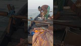 AMAZING CHITAL FISH 🐬fishing shorts video trending [upl. by Tabib]