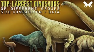 TOP Largest Dinosaurs Size Comparison and Data [upl. by Miarhpe950]