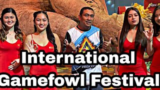 IGF  INTERNATIONAL GAMEFOWL FESTIVAL 2024  Day 3 [upl. by Randy]