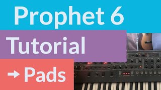 Prophet 6 Tutorial Pads Pt 1 [upl. by Eagle]