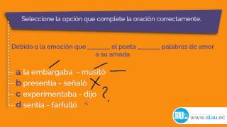 Ejercicios Resueltos 335 Precisión Semántica Examen ENES SENESCYT SNNA [upl. by Eneja]