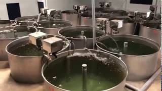 INDOOR FISH FARMING  RAS TECHNOLOGY HYDERABAD MakeinIndia [upl. by Aikcin175]