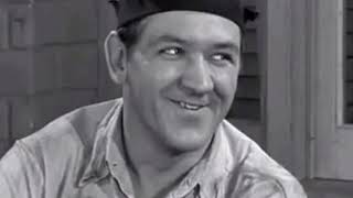 Why George Lindsey Never Forgave A Certain quotAndy Griffith Showquot Actress [upl. by Etnahs]