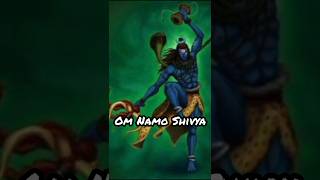 Om Namo Shivya 1211 shorts youtubeshorts shiv short [upl. by Salvadore53]