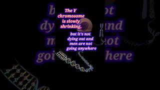 Is the Y Chromosome Really Dying The Science Explained [upl. by Blood698]