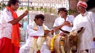 Back To Back Comedy Scenes Part  02  Evandi Aavida Vachindi Movie [upl. by Deborah737]