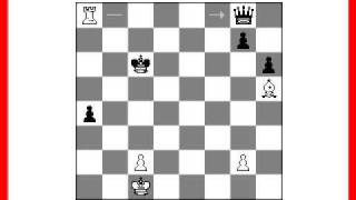 Chess Endgame Puzzle H Rinck  1903 [upl. by Llenyr]