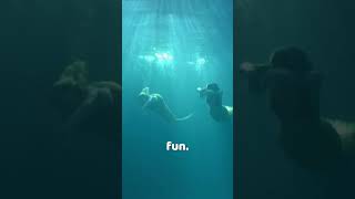 How to shoot a movie scene underwater  H2O Behind the Scenes h2ojustaddwater [upl. by Naitsirhc763]