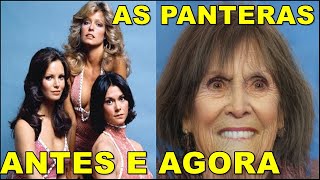 AS PANTERAS ANTES E AGORA [upl. by Arihaz]