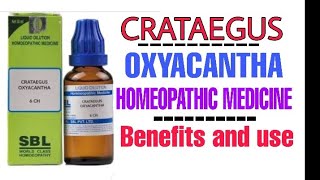 Crataegus oxyacantha homeopathic medicine benefits [upl. by Garry]