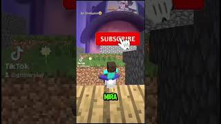 APOYO GRIMER minecraft [upl. by Ahsatak]