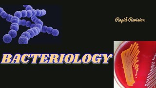 Bacteriology Microbiology  Rapid Revision Oneshot Bacteria neet mbbs study [upl. by Saffren]