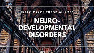 Neurodevelopmental Disorders Intro Psych Tutorial 233 [upl. by Nahtannoj877]