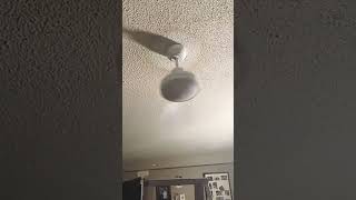 Crazy wobbly 1 bladed ceiling fan totally insane 😬 ceilingfan memes shorts wobbling [upl. by Ataynik]