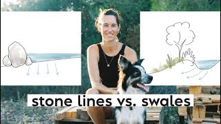 32 Why I didnt install swales at my permaculture food forest [upl. by Stasny]