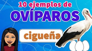 📗🤓10 EJEMPLOS FÁCILES DE Ovíparos 🛑I Los OVÍPAROS I EJEMPLOS [upl. by Risa]