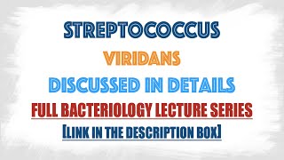 Streptococcus viridans or Viridans Streptococci  clinical manifestationsLab diagnosis [upl. by Ursel764]