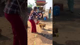 JAY shree ram 📿 monkey animals funny love dog ytshorts meentu meenurana meenu comedy [upl. by Nisay]