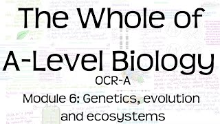 The Whole of OCRA ALevel Biology  Module 6 Genetics evolution and ecosystems  Revision [upl. by Donnamarie]