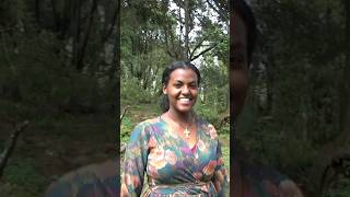 Lijinet Alatteddy afroልጅነት አላትቴዲ አፍሮnew Amharic music 2024new Ethiopian music 2014 [upl. by Hennahane938]