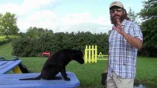 Training Your Labrador Retriever Puppy Part One [upl. by Pope]