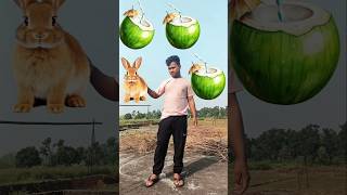 Rounding naryal Panirabbit 🐇 cat 🐈 elephant🐘 horse 🐎 animals neme VFX MAGIC videoshorts magic [upl. by Nodle]