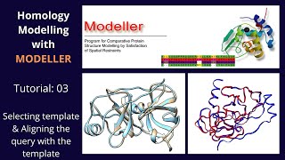 Homology Modelling  Tutorial 2 of 5  Part 1  Modeller [upl. by Ordisi]