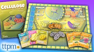 Cellulose A Plant Cell Biology Game from Genius Games Instructions  Review [upl. by Redep]