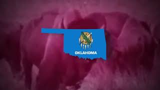 Oklahoma  State song of Oklahoma [upl. by Sholley571]