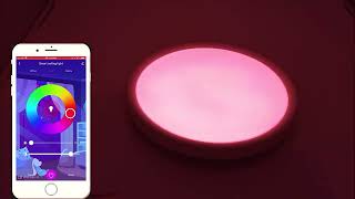 Smart WIFI LED Round Ceiling Light RGBCW Dimmable TUYA APP Compatible with Alexa Google Home Bedroom [upl. by Aicillyhp234]