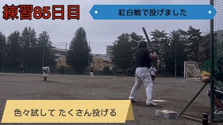 ソフトボールピッチャー育成日記８５チーム練習で紅白戦 【ソフトボール softball】 [upl. by Deaner325]