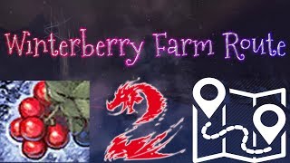 Guild Wars 2  Winterberry Farm Route Guide [upl. by Ahsieken]