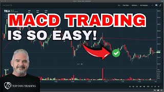 You Wont Believe This MACD Trading Hack Until You See It Yourself [upl. by Vinni]