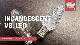 Incandescent Vs LED [upl. by Ludovick]