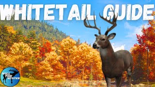 New England Mountains Whitetail Deer Zone Guide TheHunter Call Of The Wild 2023 [upl. by Ezmeralda]