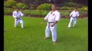 Sochin Kenneth Funakoshi Kata and Bunkai [upl. by Avuha]