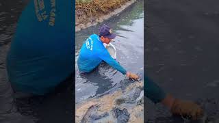 Crayfish  Fishing Youtube shorts crayfish [upl. by Akenihs]