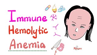 Immune Hemolytic Anemia intro [upl. by Ynohtnaleahcim]