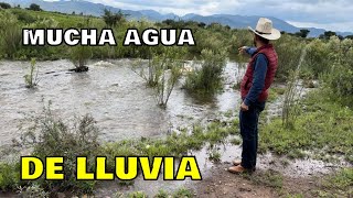 A Llovido Mucho Pero No Todas Las Presas De Zacatecas Se Están Favoreciendo🌧️🐄👏🐴🏞️ [upl. by Vernita]