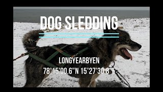 Dog Sledding 2023 with Green Dog Svalbard  Longyerbyen [upl. by Blanch]