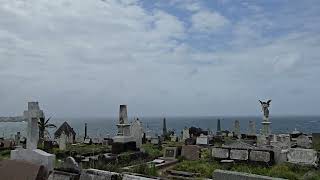 Waverly Cemetery Sydney Australia oct 2024 [upl. by Devland]