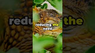 21 Eye Opening Facts About Reptile Conservation 🦎 [upl. by Essie]