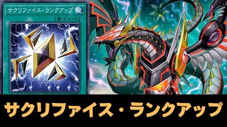 Cyber Dragon Infinity in Rank 4 Deck Sacrifice LevelUp DECK NEW CARD  YGOPRO [upl. by Meeharb]